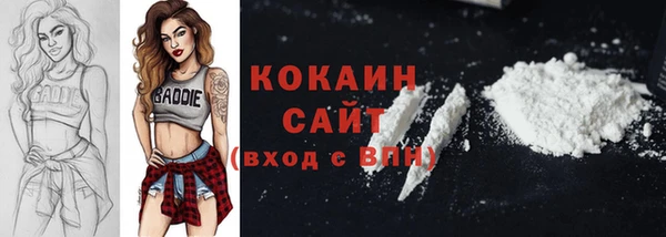 дживик Арсеньев