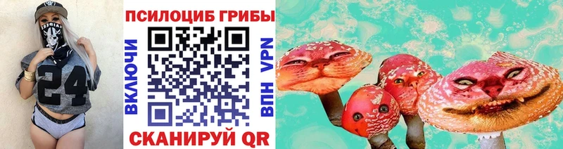 Купить закладки  Сафоново  Галлюциногенные грибы Psilocybe 